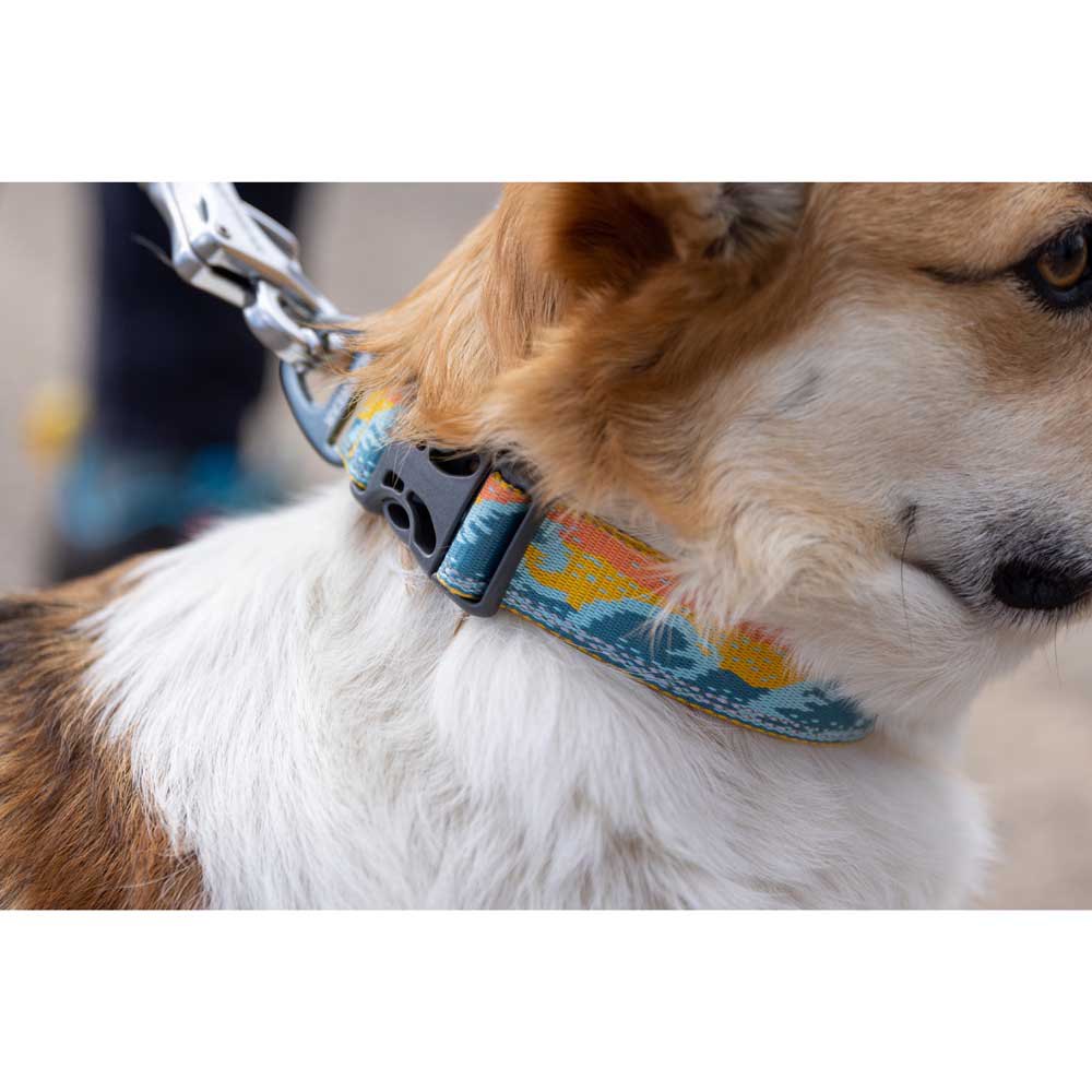 Купить Ruffwear 25802-9782026 Crag™ Воротник  Rising Wave 20-26 cm 7ft.ru в интернет магазине Семь Футов