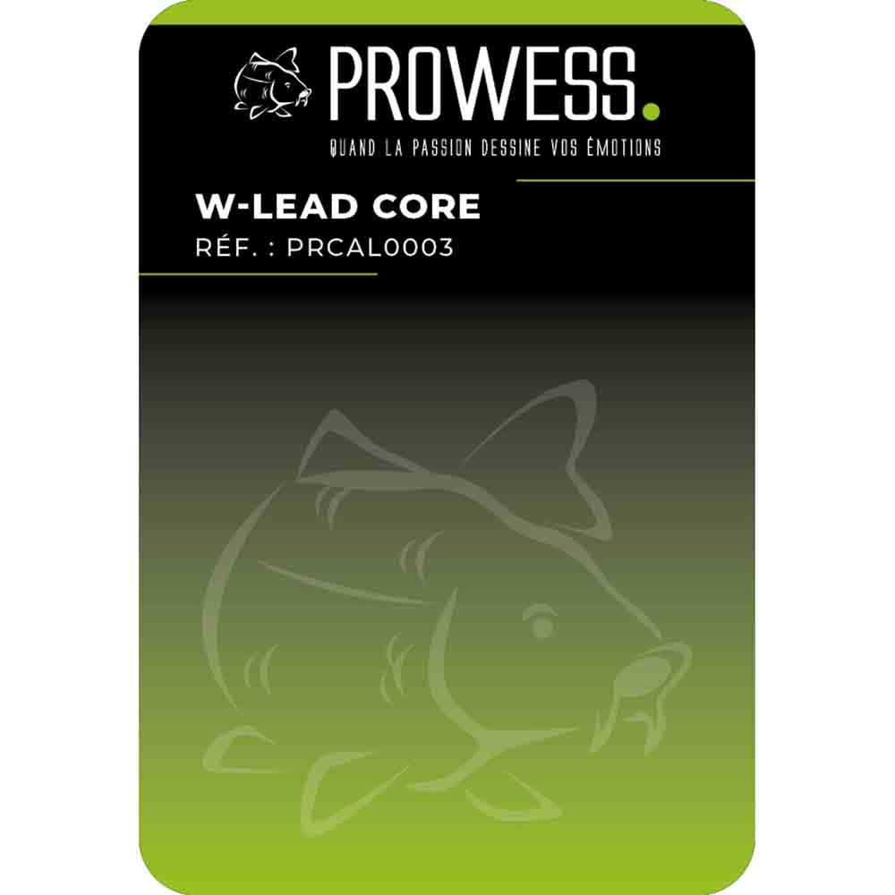 Купить Prowess PRCAL0003 W-Lead Core 40Lbs 10 m Плетеный  Black / Green 7ft.ru в интернет магазине Семь Футов