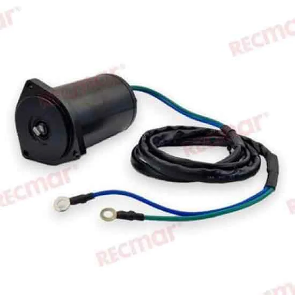 Купить Recmar rec62x-43880-09 трим-мотор Yamaha 62X-43880-09 Black 18x20x28 7ft.ru в интернет магазине Семь Футов
