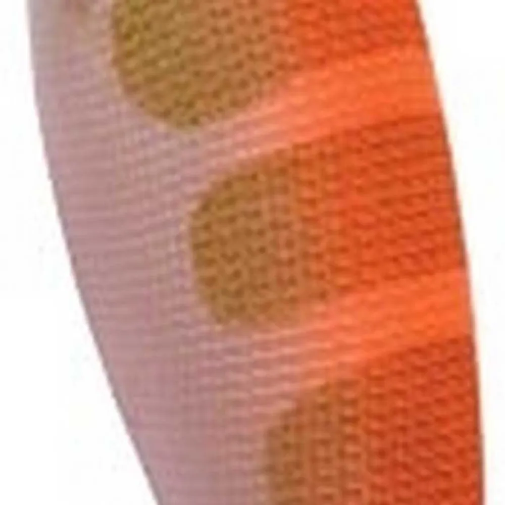 Купить DTD 10092-R-UNIT Pirka 1.5 Кальмар 55 Mm 5.8g Многоцветный Red 7ft.ru в интернет магазине Семь Футов
