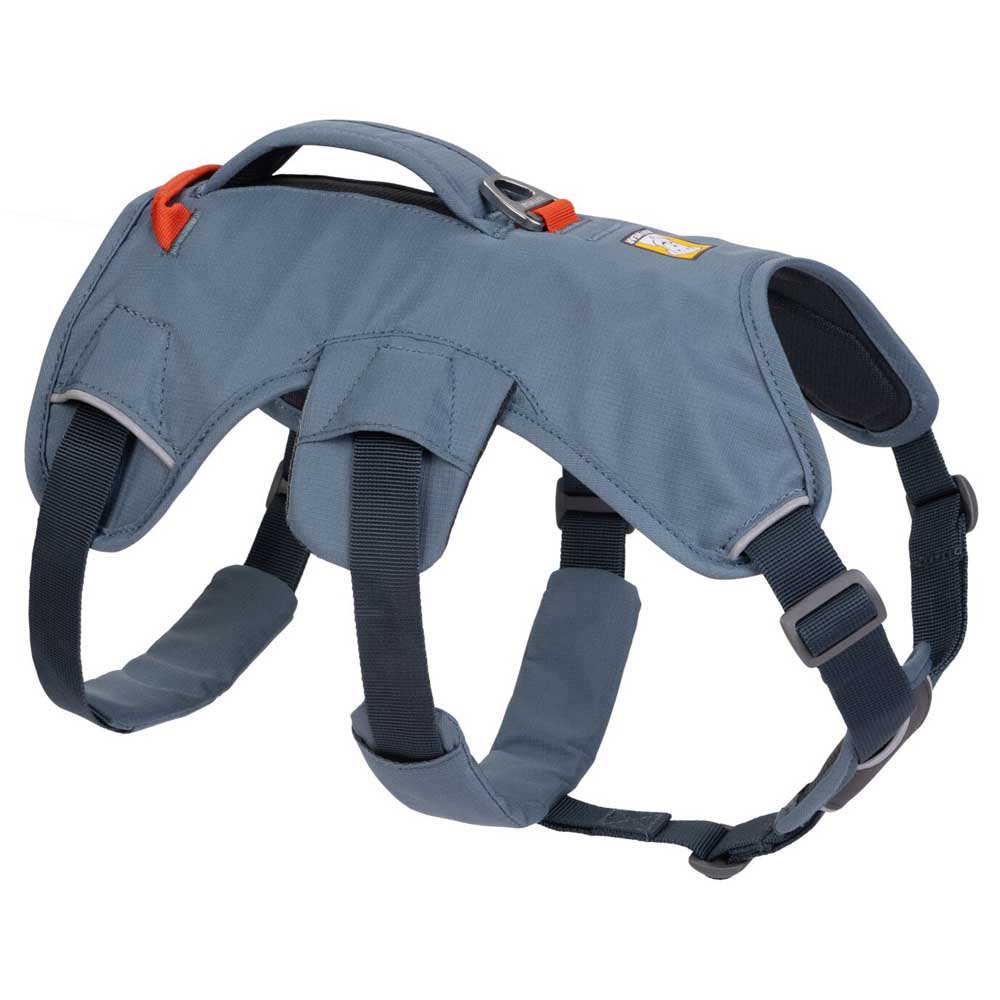 Купить Ruffwear 30103-413LL1 Web Master Обуздать Голубой  Slate Blue L-XL 7ft.ru в интернет магазине Семь Футов