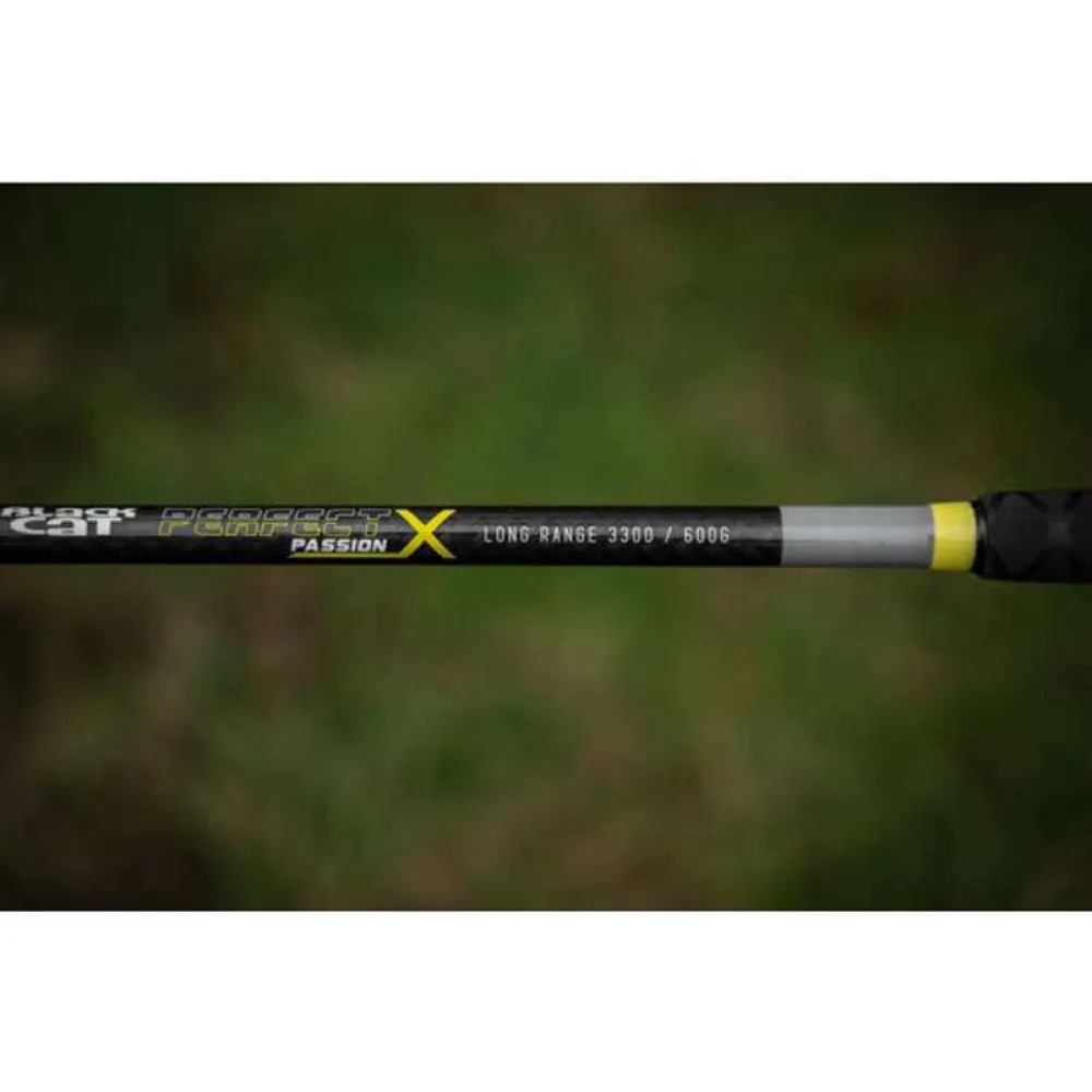 Купить Black cat bo140032 Удилище для сома Perfect Passion X Long Range 160x8x8 3.30 m 7ft.ru в интернет магазине Семь Футов
