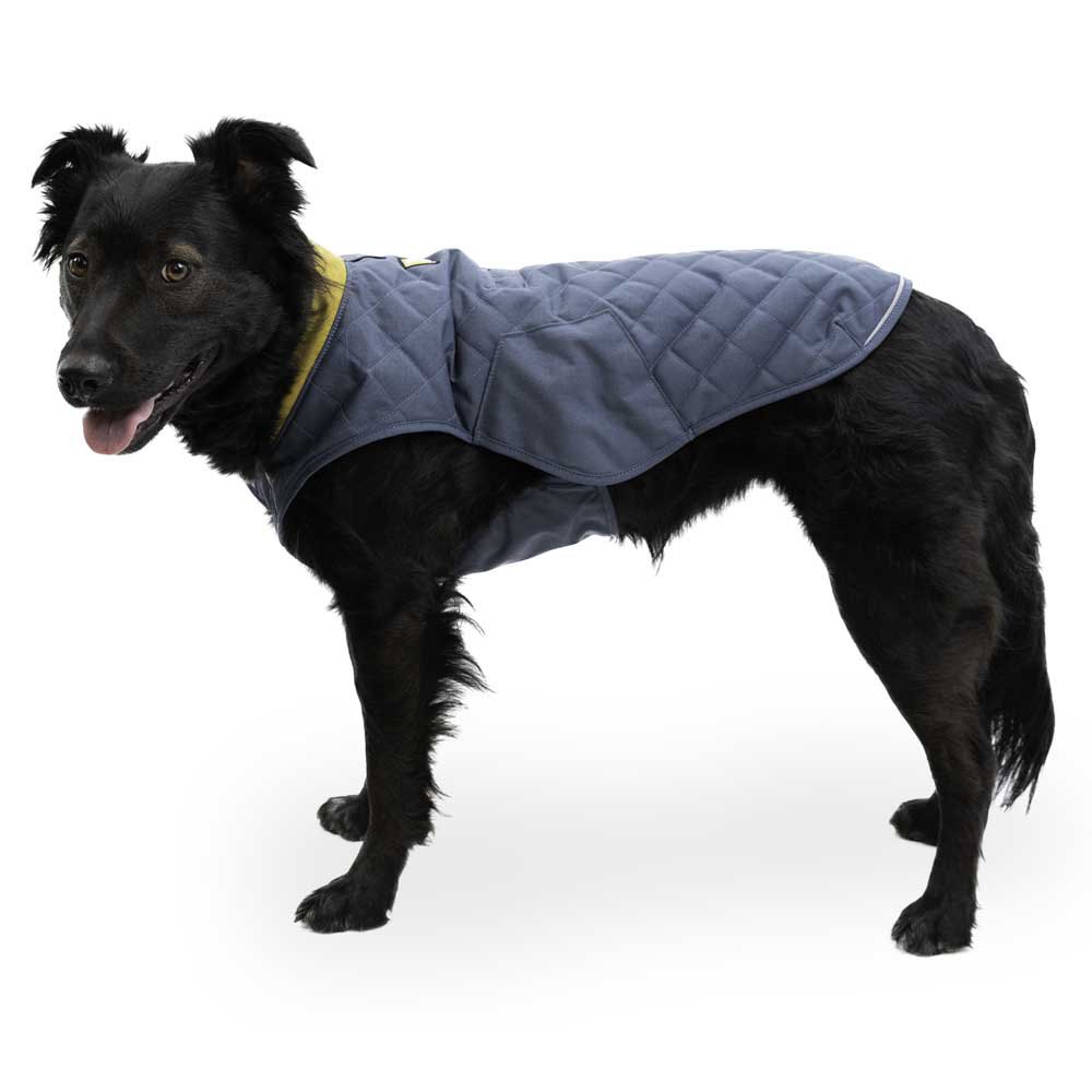 Купить Ruffwear 0595-480L Stumptown™ флис Серый  Orion Blue L 7ft.ru в интернет магазине Семь Футов