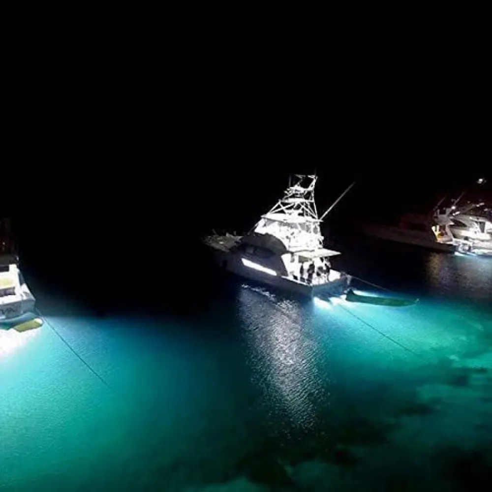 Купить Lumitec 451-101516 Светодиодный светильник Seablaze X2 белый/синий Bronze 16x16x11 5000 Lumens 7ft.ru в интернет магазине Семь Футов