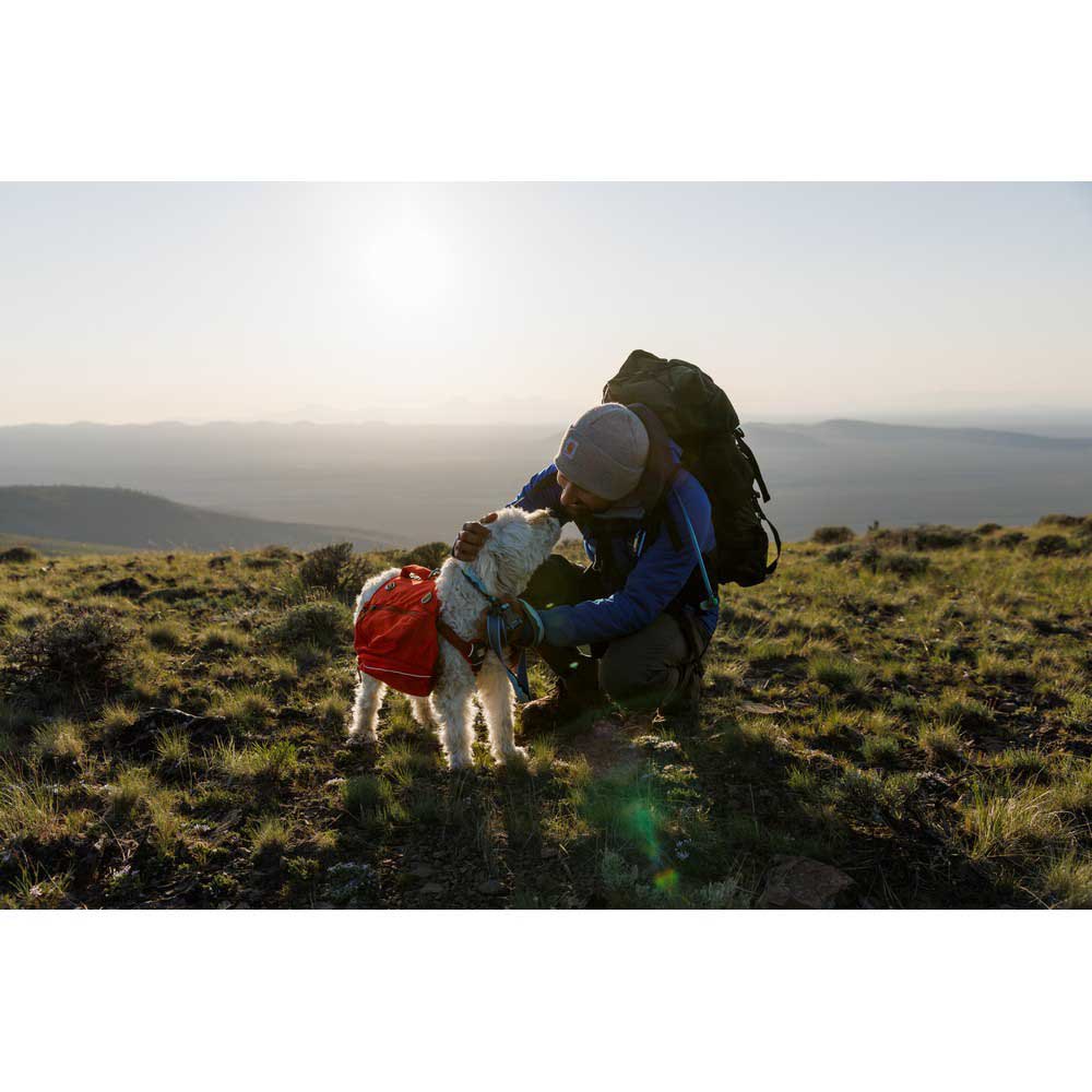 Купить Ruffwear 25802-9802026 Crag™ Воротник  Alpine Dawn 20-26 cm 7ft.ru в интернет магазине Семь Футов