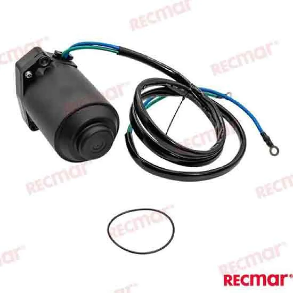 Купить Recmar rec6gr-43880-02 трим-мотор Yamaha 6GR-43880-02 Black 15x15x25 7ft.ru в интернет магазине Семь Футов