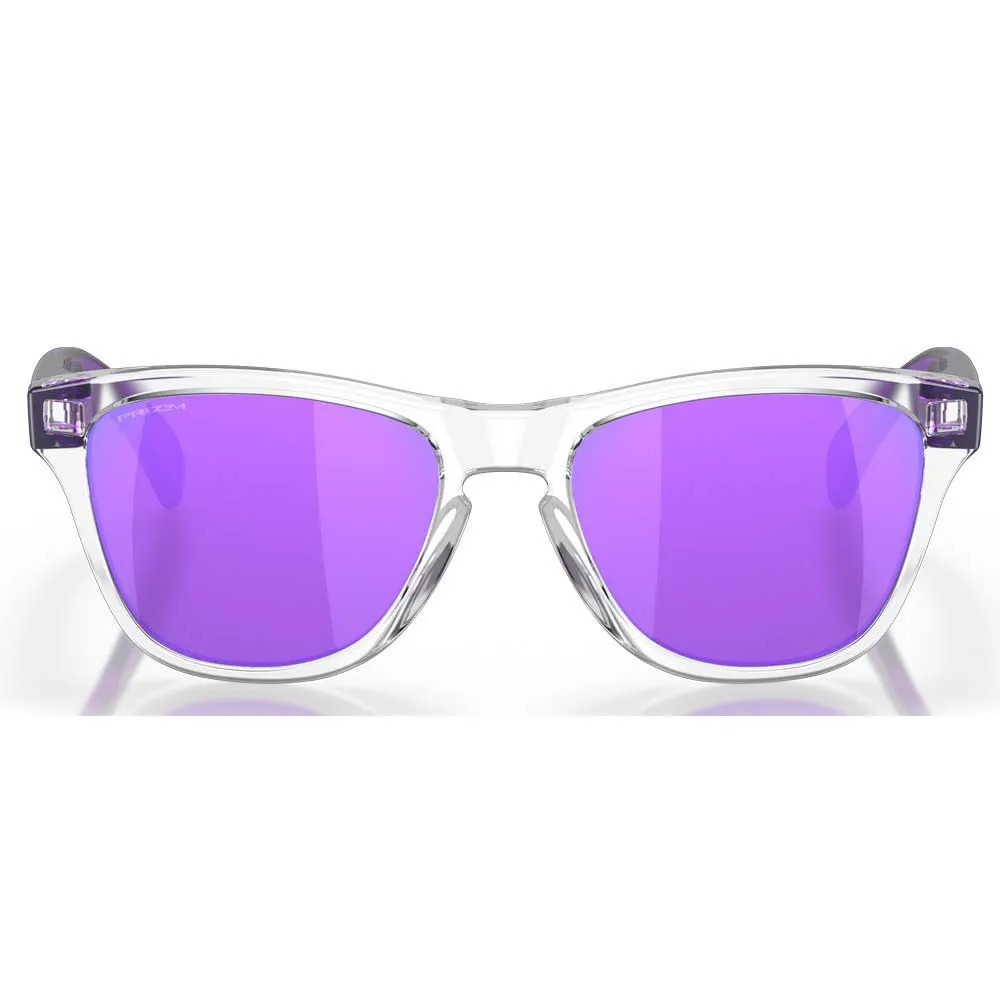 Купить Oakley oj9009-0348 Солнцезащитные очки Frogskins XXS Prizm Clear 25x12x10 Prizm Iridium Violet/CAT3 7ft.ru в интернет магазине Семь Футов