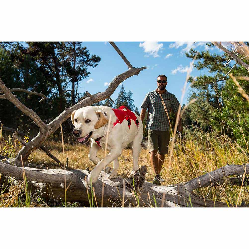 Купить Ruffwear RW30102-615LL1 Web Master Обуздать Красный  Red Currant L-XL 7ft.ru в интернет магазине Семь Футов