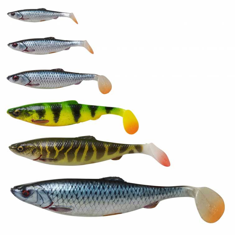 Купить Savage gear SVS57465 4D Herring Shad 190 Mm 45g 20 единицы Многоцветный Roach 7ft.ru в интернет магазине Семь Футов