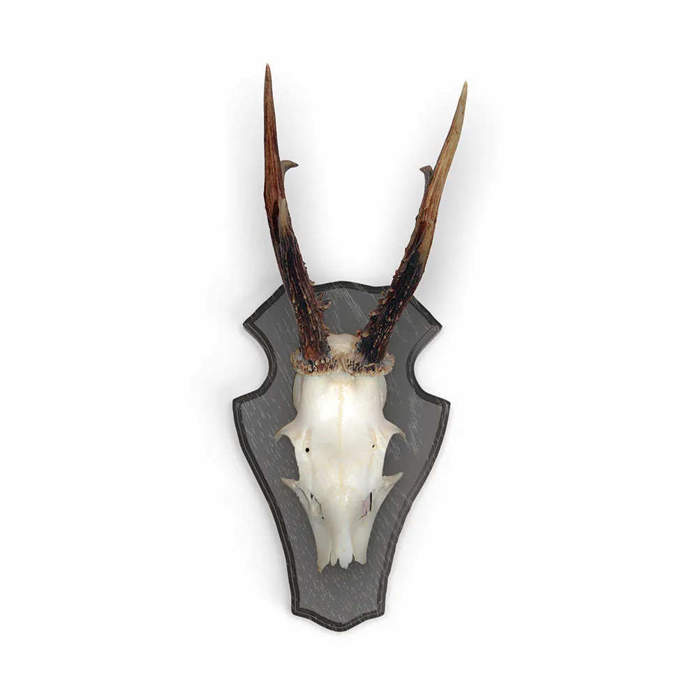 Купить Eurohunt X-560803 Дубовая доска для трофеев оленя 1 с пластиковыми зажимами 10 Единицы Dark 22x13 cm Hunt 7ft.ru в интернет магазине Семь Футов