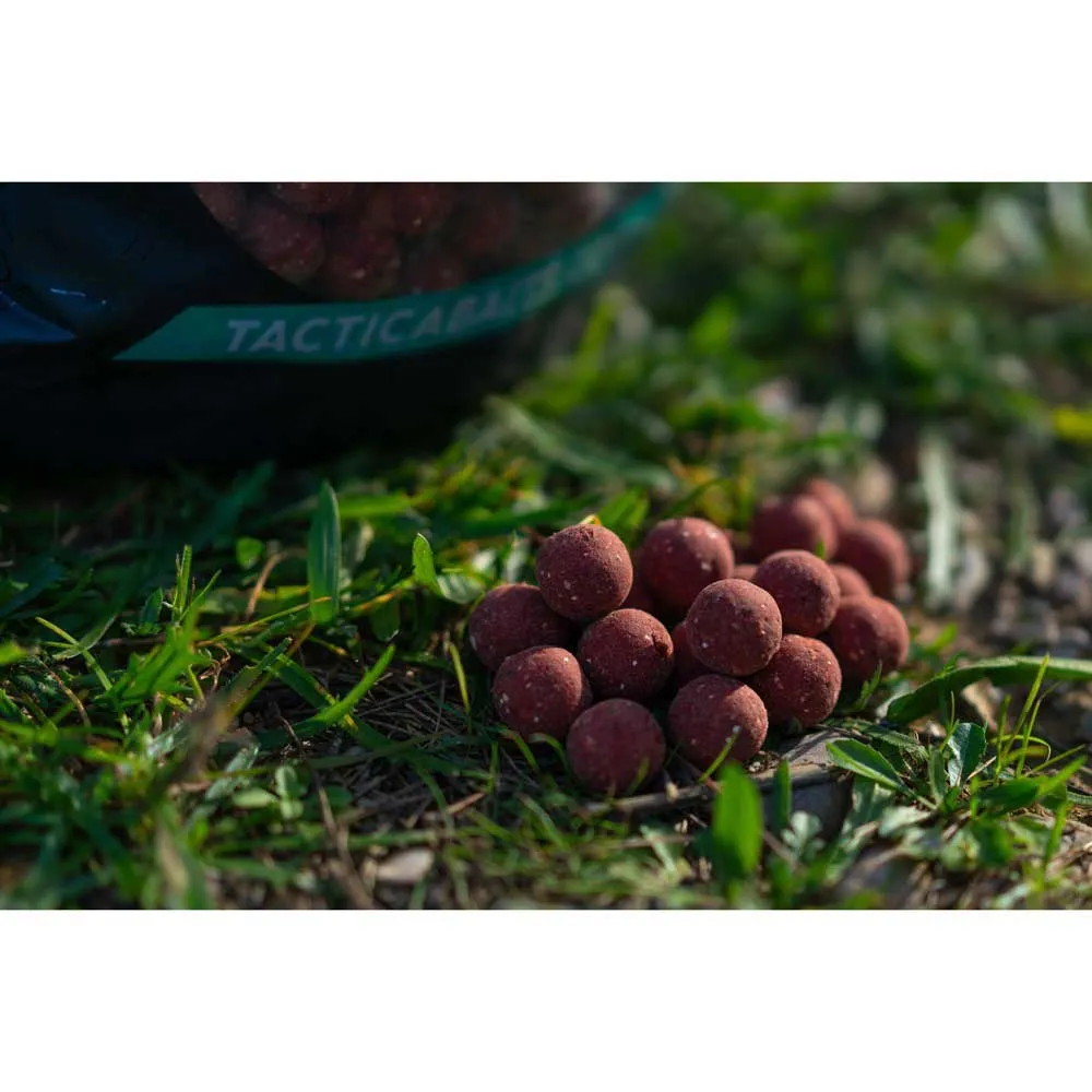 Купить Tactica baits sq05 Бойл Squidy 4.5kg 35x30x20 20 mm 7ft.ru в интернет магазине Семь Футов
