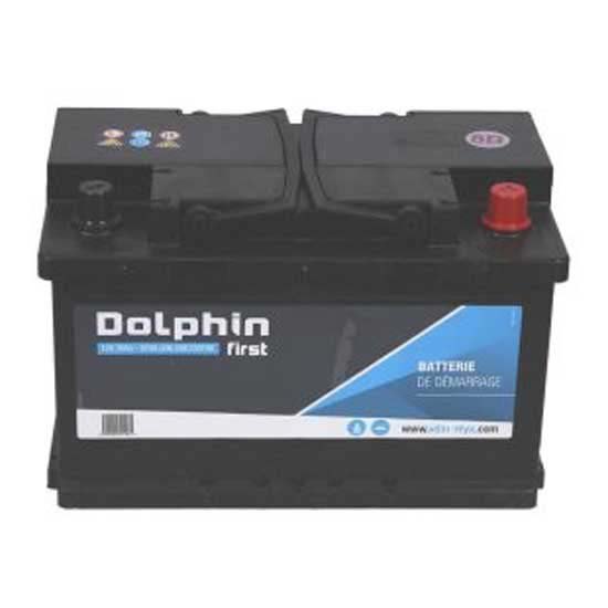 Купить Dolphin charger SBE230196 Dolphin First 70A батарея  Black 7ft.ru в интернет магазине Семь Футов