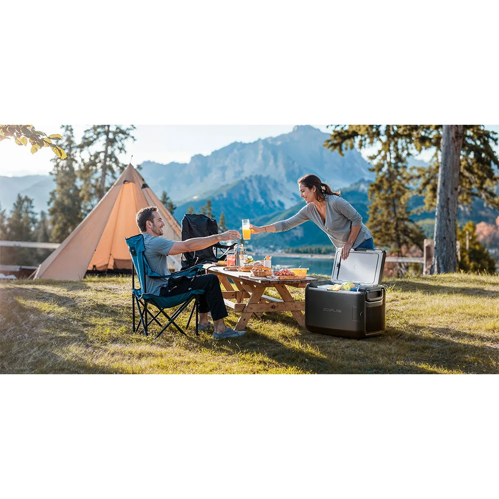 Купить Ecoflow ef-efglacier45l-eu-nbox Жесткий переносной кулер Glacier Classic 45L Grey 71x40x48 7ft.ru в интернет магазине Семь Футов