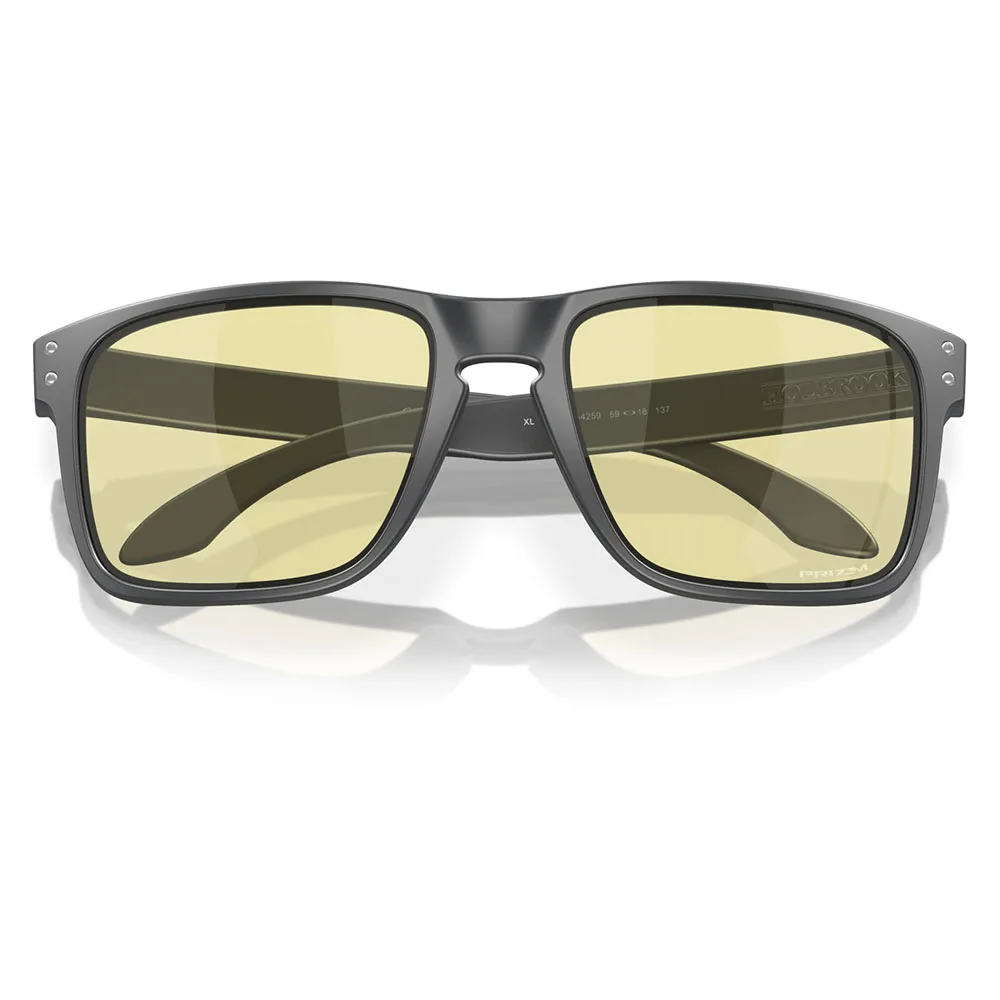 Купить Oakley oo9417-4259 Солнцезащитные очки Holbrook xl Matte Carbon 20x10x10 Prizm Gaming/CAT0 7ft.ru в интернет магазине Семь Футов