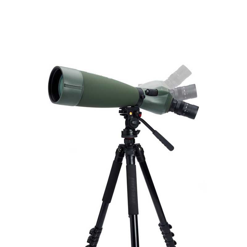 Купить Celestron C52306 Spotting Scope Regal M2 100ED 45º Телескоп  Black 7ft.ru в интернет магазине Семь Футов