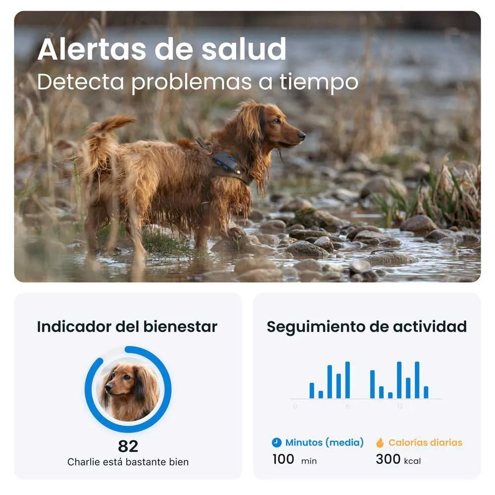 Купить Tractive TRDOG6MT GPS-локатор Голубой  Blue 7ft.ru в интернет магазине Семь Футов