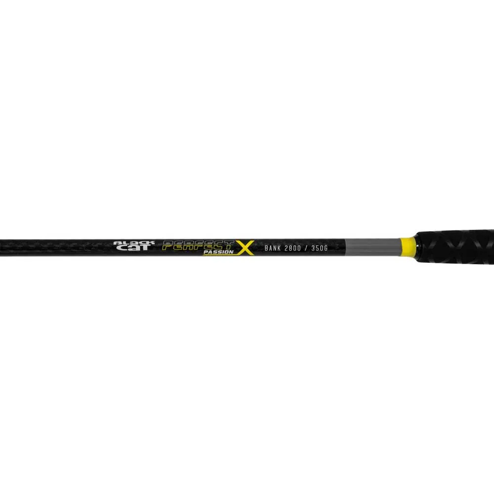 Купить Black cat bo140024 Удилище для сома Perfect Passion X Bank 160x8x8 3.20 m 7ft.ru в интернет магазине Семь Футов