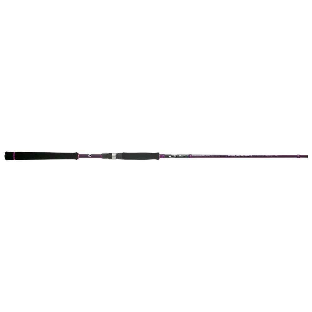 Купить Cinnetic 9508-2.37ml спиннинговое удилище Sky Line Purple Dart´N Purlple 123x10x10 2.3 m 7ft.ru в интернет магазине Семь Футов
