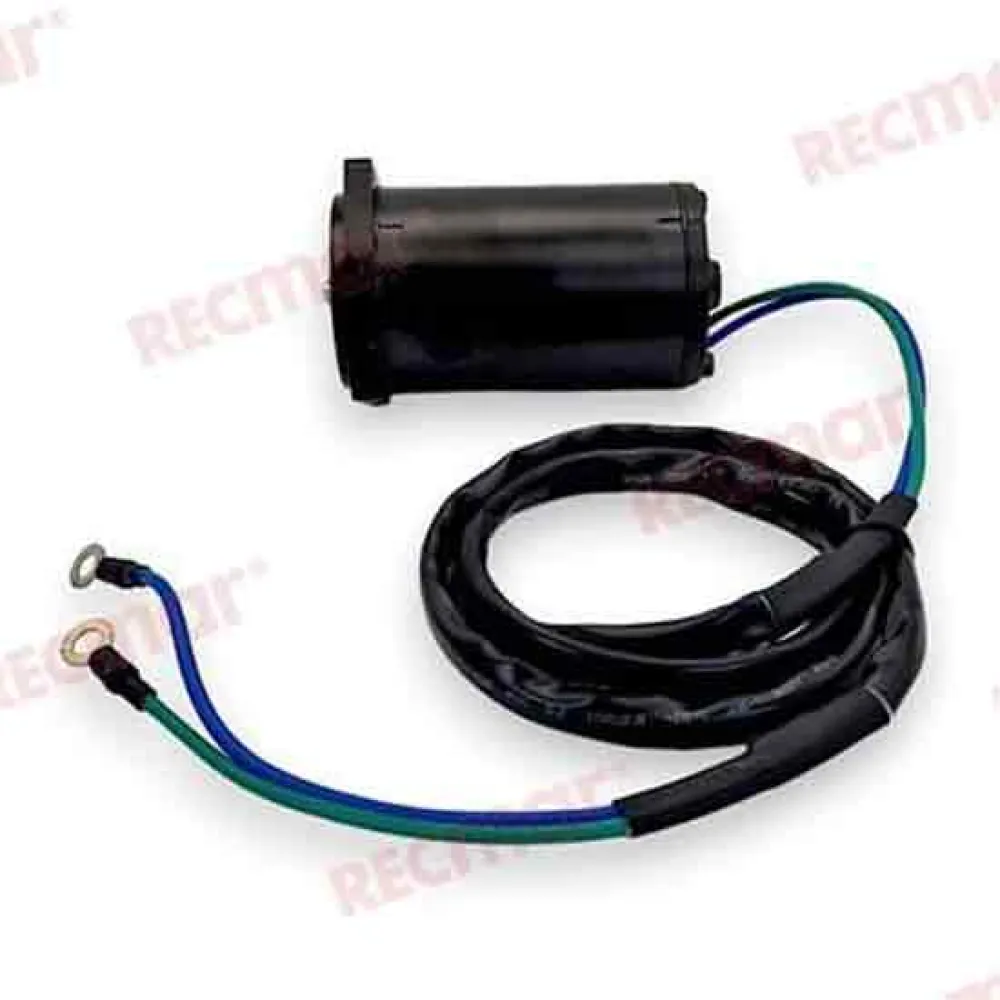 Купить Recmar rec62x-43880-09 трим-мотор Yamaha 62X-43880-09 Black 18x20x28 7ft.ru в интернет магазине Семь Футов
