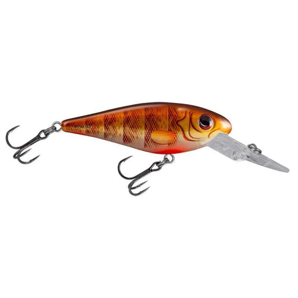 Купить Salmo qrz055-unit Crankbait Rattlin Executor SDR 5.5g 50 mm Brown Perch 10x7x5 7ft.ru в интернет магазине Семь Футов