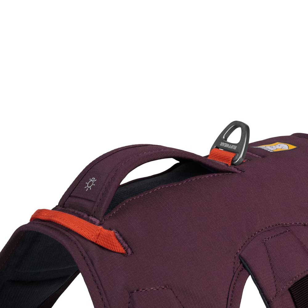 Купить Ruffwear 30103-507S Web Master Обуздать Фиолетовый Purple Rain S 7ft.ru в интернет магазине Семь Футов