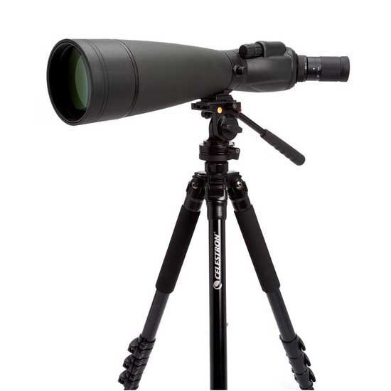 Купить Celestron C52334 Spotting Scope TrailSeeker 100 45º Телескоп  Black 7ft.ru в интернет магазине Семь Футов