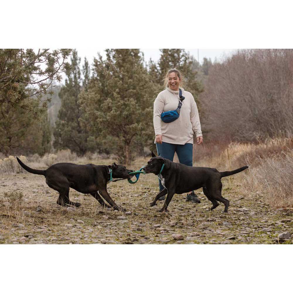 Купить Ruffwear 6035-421 Pacific Ring™ Многоцветный  Aurora Teal 7ft.ru в интернет магазине Семь Футов