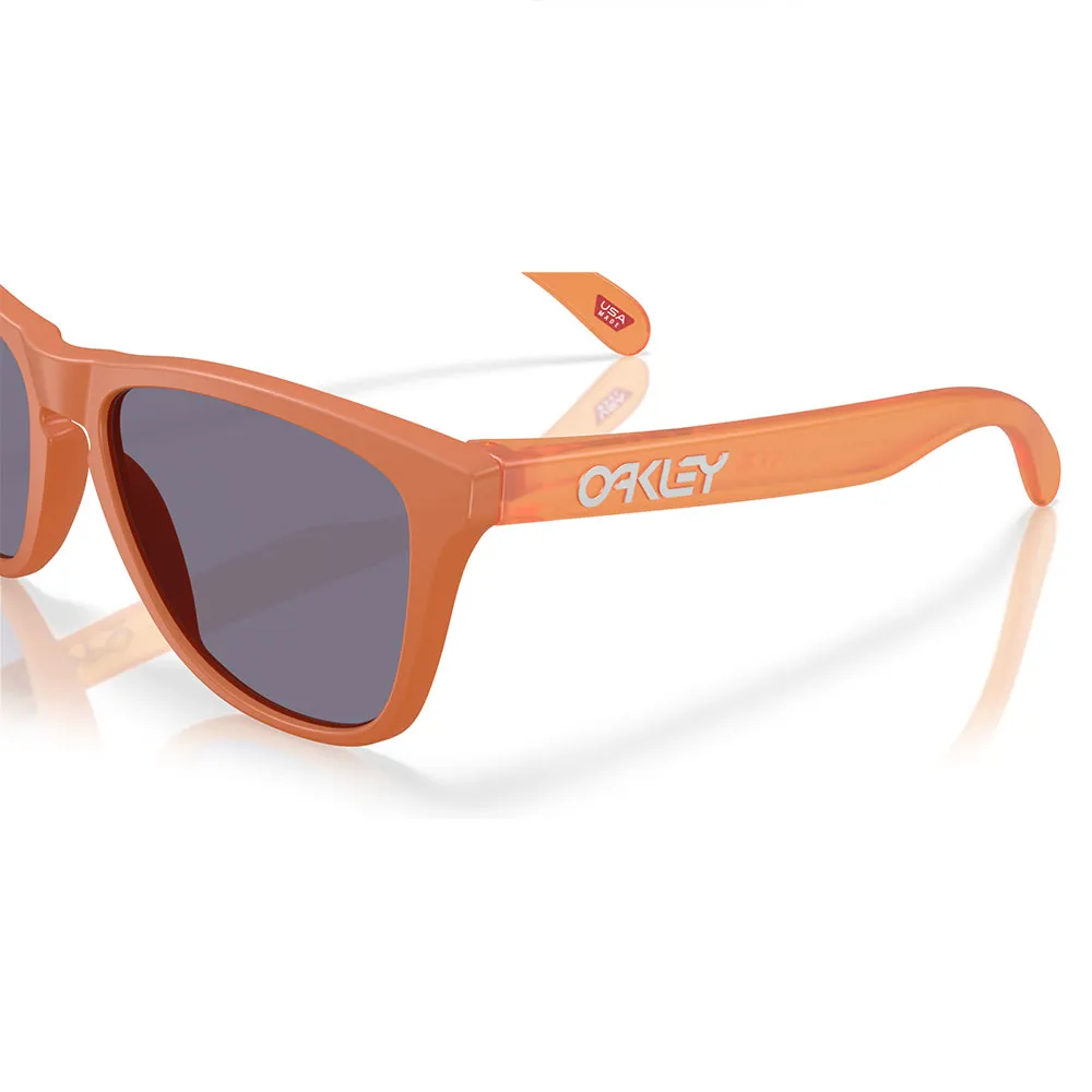 Купить Oakley OO9013-M155 Солнцезащитные очки Frogskins Matte Ginger Prizm Grey/CAT3 7ft.ru в интернет магазине Семь Футов