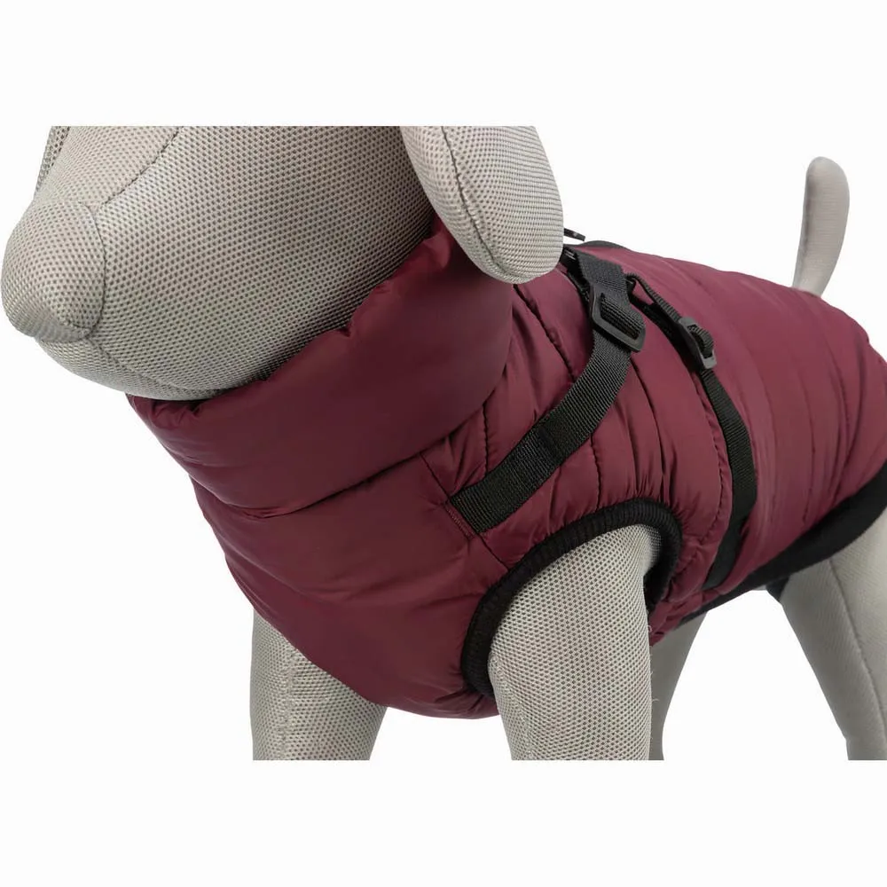 Купить Trixie 680393 куртка для собаки Pirou  Granate 33 cm 7ft.ru в интернет магазине Семь Футов