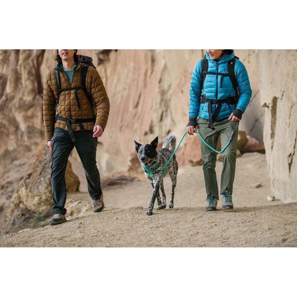 Купить Ruffwear 40205-421S Knot Поводок Зеленый  Aurora Teal S 7ft.ru в интернет магазине Семь Футов