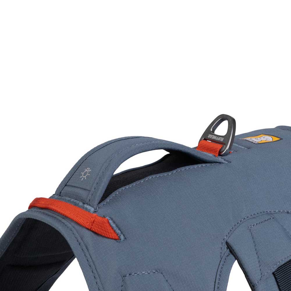 Купить Ruffwear 30103-413LL1 Web Master Обуздать Голубой  Slate Blue L-XL 7ft.ru в интернет магазине Семь Футов