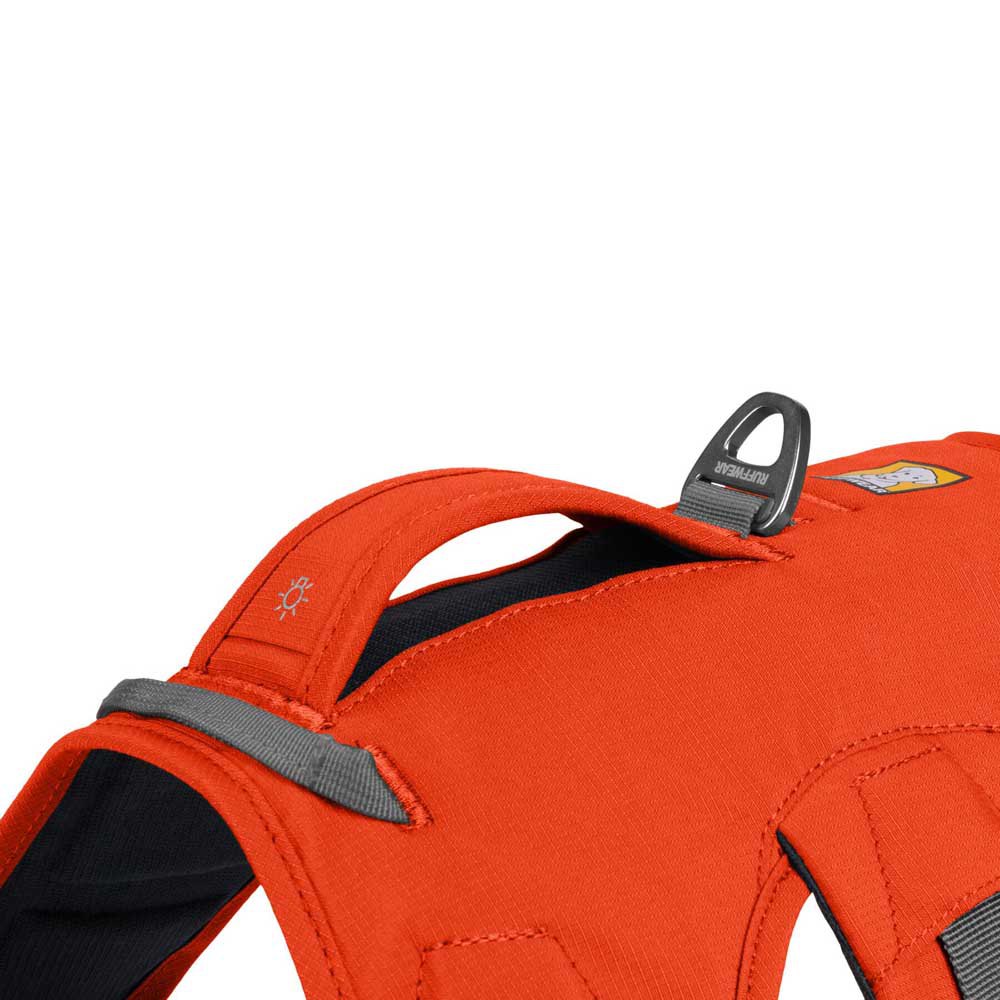 Купить Ruffwear 30103-850LL1 Web Master Обуздать Оранжевый Blaze Orange L-XL 7ft.ru в интернет магазине Семь Футов