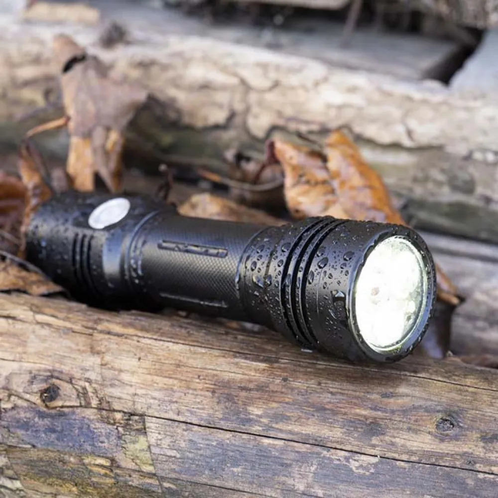 Купить PNI pni-chg3f200 Фонарик Adventure F200 & Dual Wall Charger CHG300 Black / White 15x25x12 550 Lumens 7ft.ru в интернет магазине Семь Футов