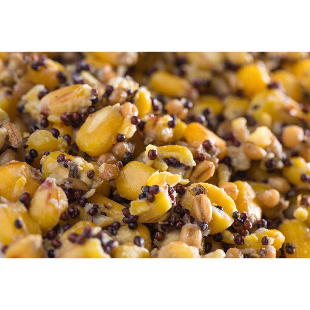 Купить Mivardi M-RAPAMIX10 прикормка Particle mix 1kg 7ft.ru в интернет магазине Семь Футов