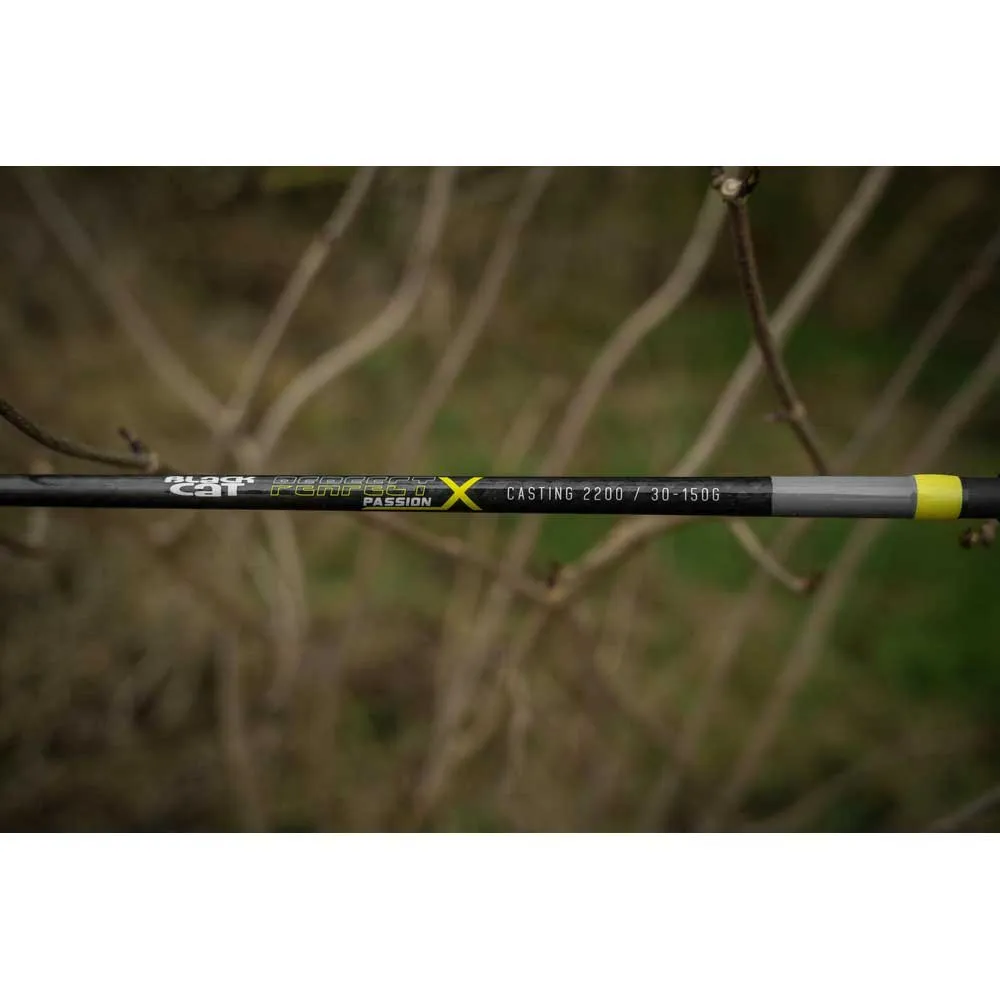 Купить Black cat bo140033 Удилище для сома Perfect Passion X Casting 160x8x8 2.20 m 7ft.ru в интернет магазине Семь Футов