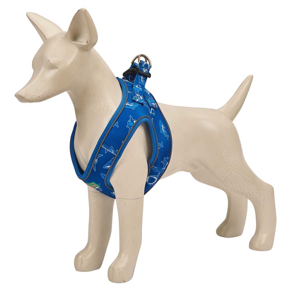 Купить Freedog 10703501 Blue Shark Обуздать  Blue 35-40 cm 7ft.ru в интернет магазине Семь Футов