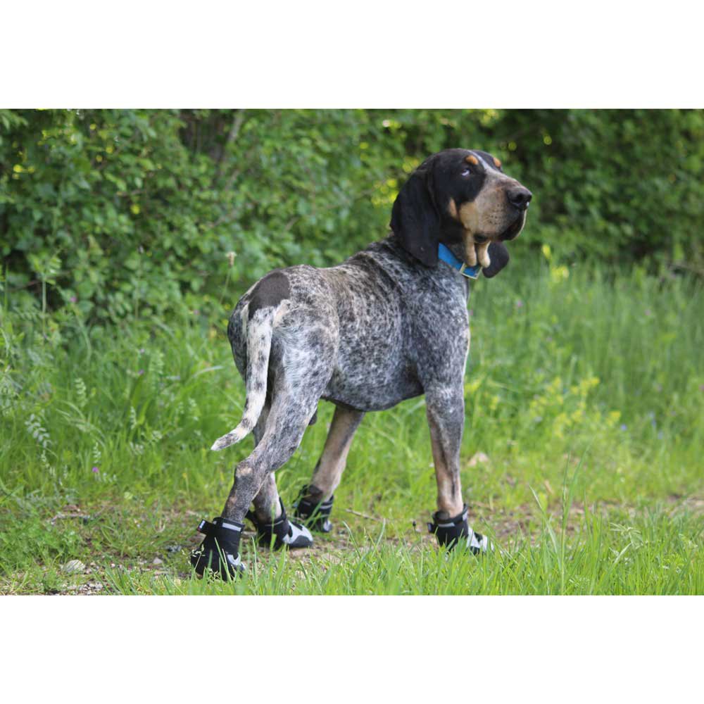 Купить I-dog KPADNAIRB70 Khan Pad N´Air Shoes Серый  Black 70 mm 7ft.ru в интернет магазине Семь Футов