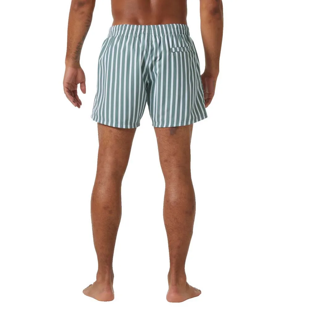 Купить Helly hansen 34296_485-XL плавательные шорты Newport Grey Cactus Stripe XL 7ft.ru в интернет магазине Семь Футов