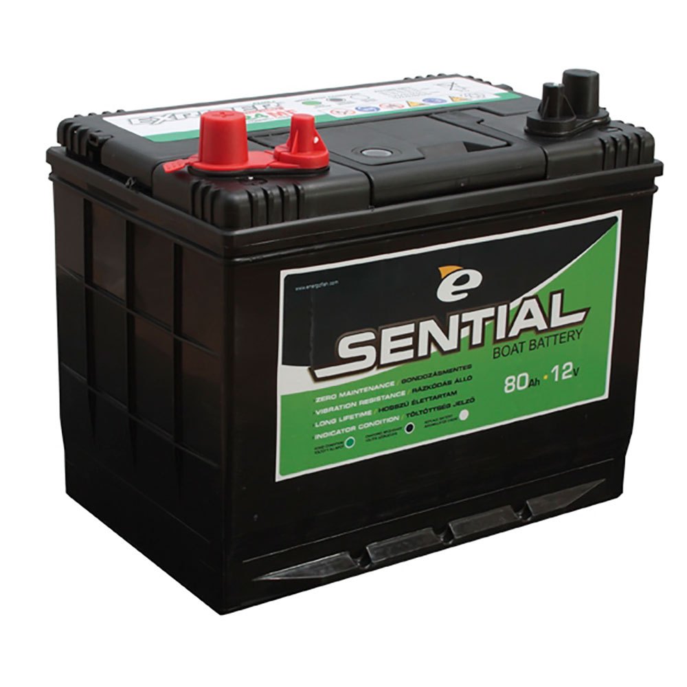 Купить E-sential 74865181 80AH батарея Бесцветный  Black 7ft.ru в интернет магазине Семь Футов