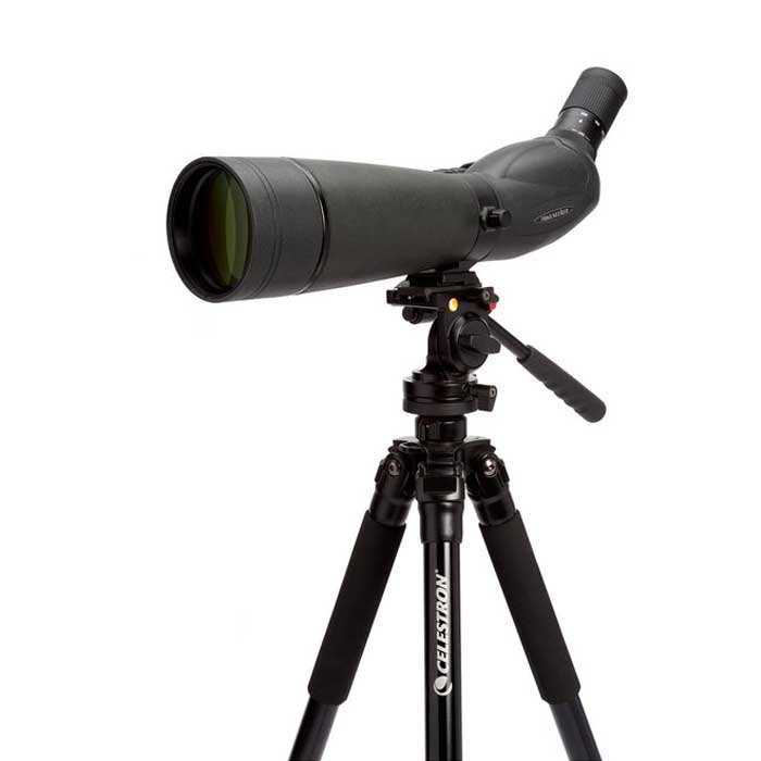 Купить Celestron C52332 Spotting Scope Trailseeker 80mm-45° Телескоп  Black 7ft.ru в интернет магазине Семь Футов