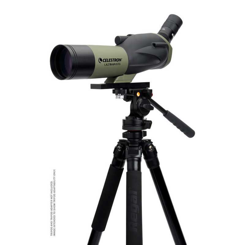 Купить Celestron C52248 Spotting Scope Ultima 65 45º Телескоп  Black 7ft.ru в интернет магазине Семь Футов