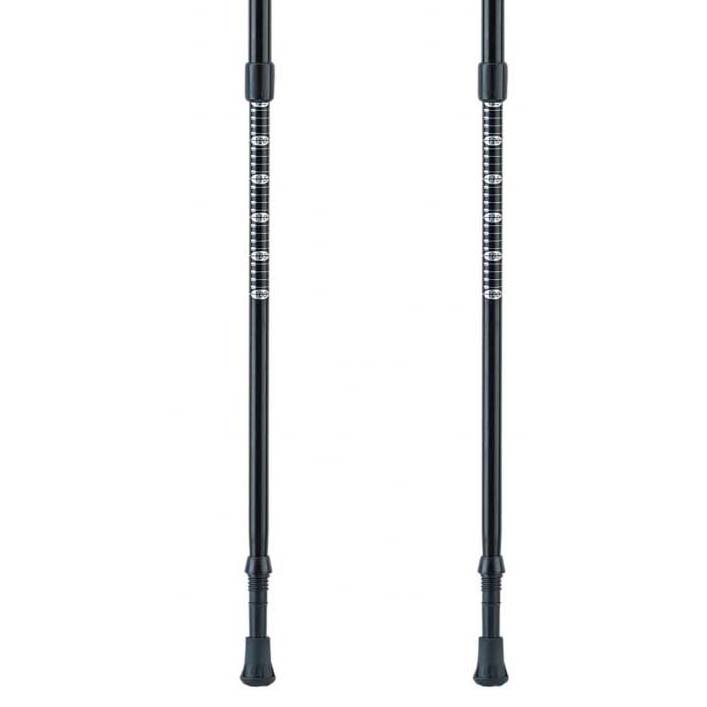 Купить Ferrino 78119IBB Stick GTA Поляки Голубой  Blue 60-135 cm 7ft.ru в интернет магазине Семь Футов