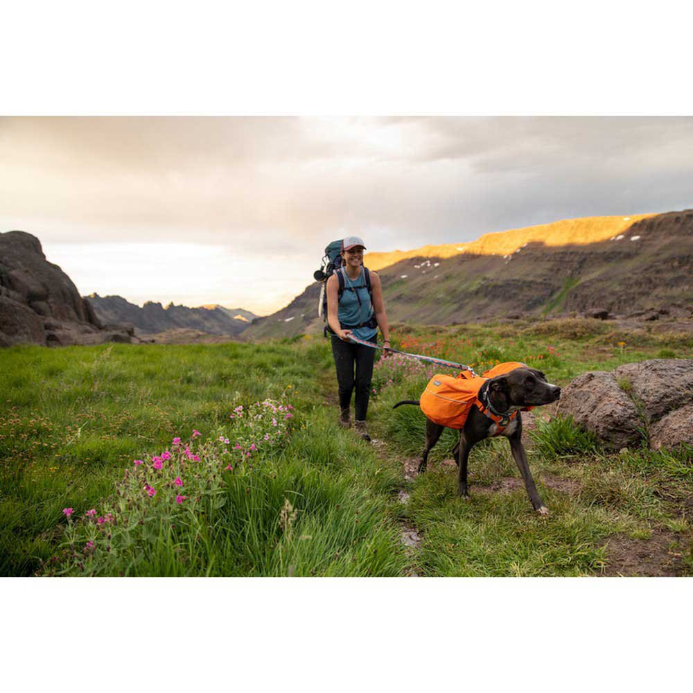 Купить Ruffwear 40404-913 Crag Поводок для собак Голубой Sunset 7ft.ru в интернет магазине Семь Футов