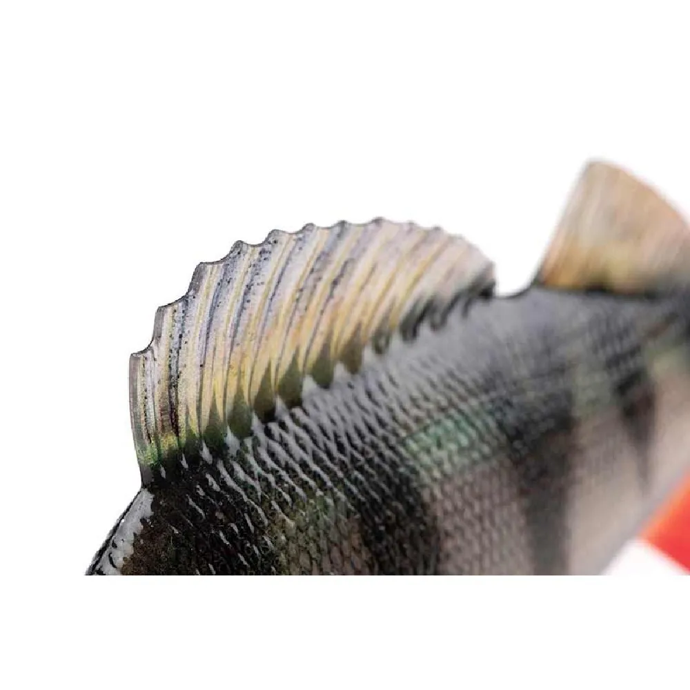Купить Fox rage NRE504-UNIT Мягкий приманка Ultra-Realistic Pike Replicant 22g 100 mm 7ft.ru в интернет магазине Семь Футов