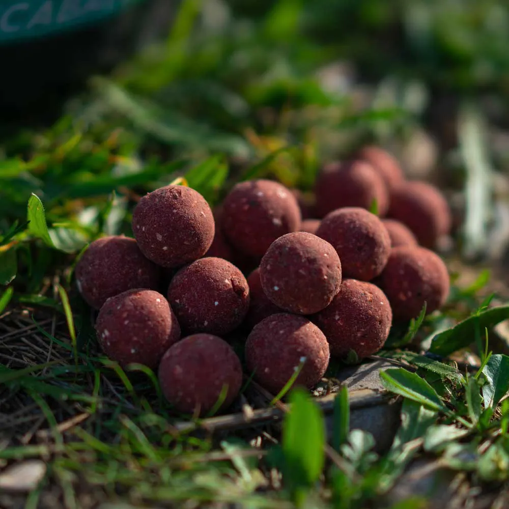 Купить Tactica baits sq01-unit Бойл Squidy 1kg 35x25x15 15 mm 7ft.ru в интернет магазине Семь Футов