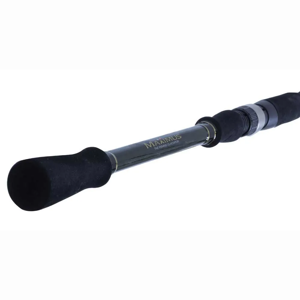 Купить Maximus rods mszi24mh спиннинговое удилище Zircon Black 125x10x10 2.4 m 7ft.ru в интернет магазине Семь Футов