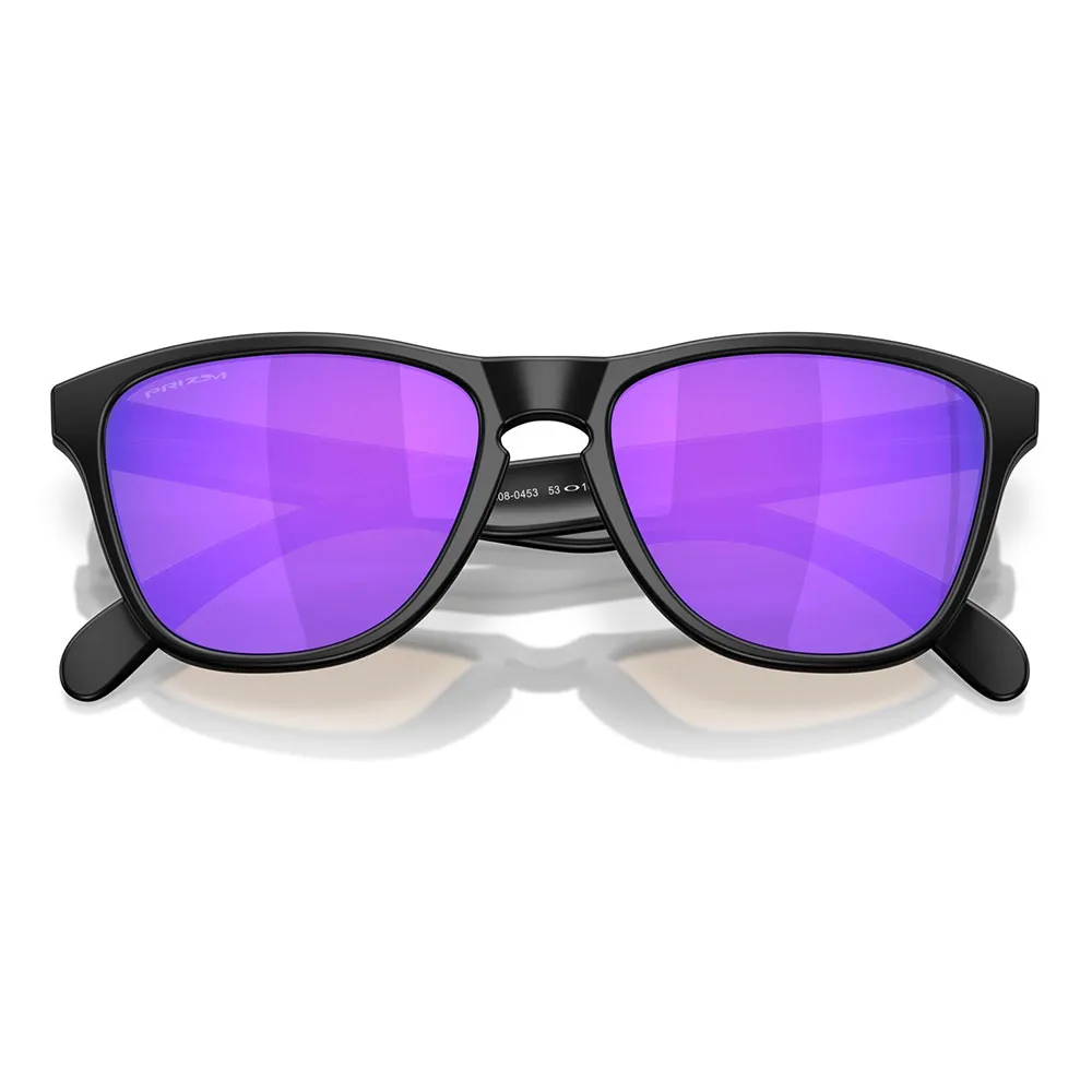 Купить Oakley OO9508-0453 Солнцезащитные очки Frogskins s Matte Black Prizm Violet/CAT3 7ft.ru в интернет магазине Семь Футов