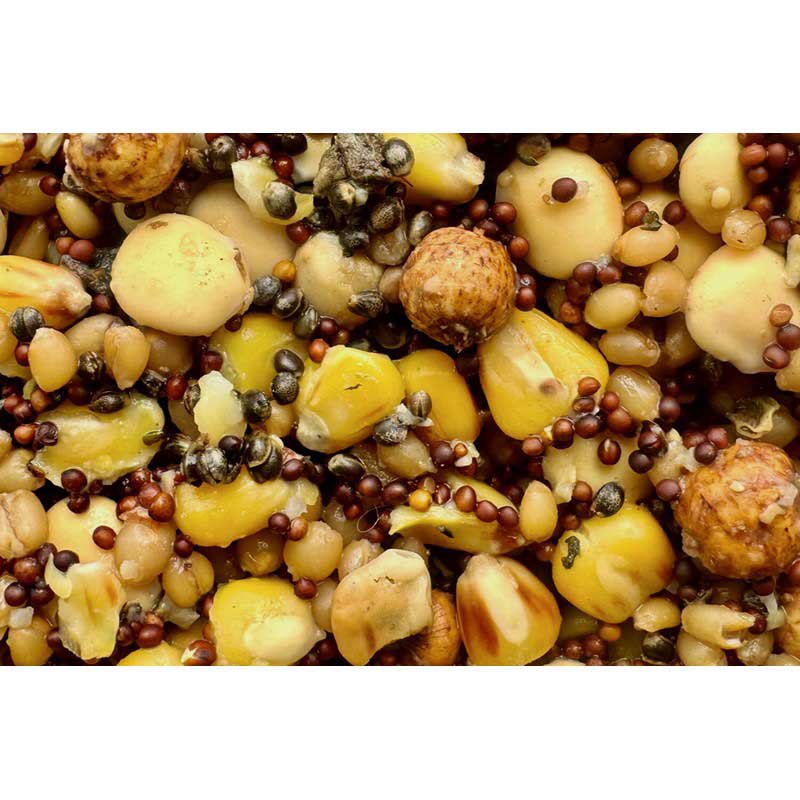 Купить Mivardi M-RAPAMIXPRE50 прикормка Particle Mix Premium 5kg 7ft.ru в интернет магазине Семь Футов