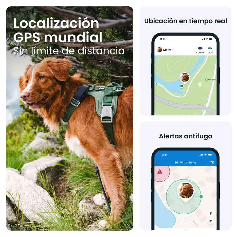 Купить Tractive TRDOG6MT GPS-локатор Голубой  Blue 7ft.ru в интернет магазине Семь Футов