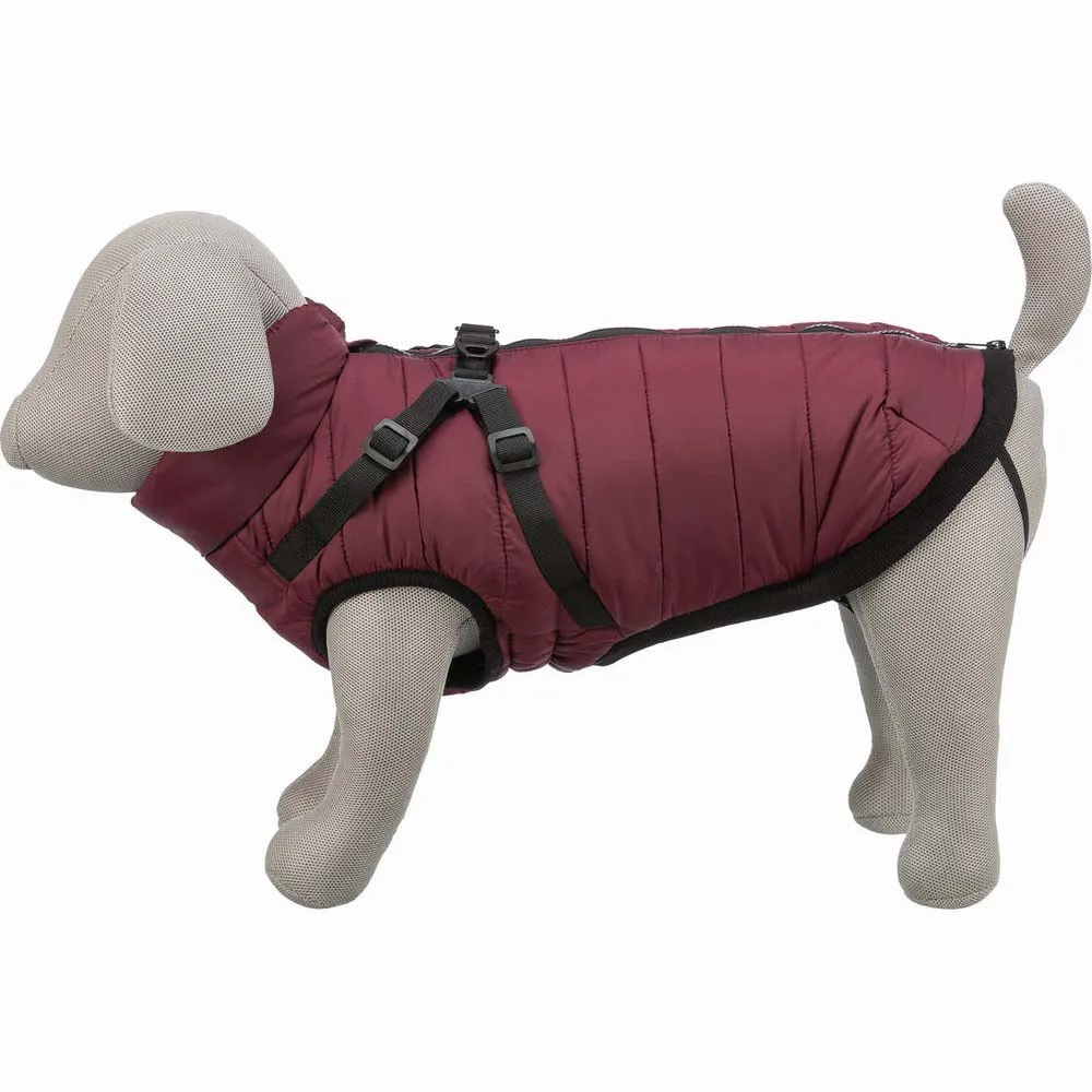 Купить Trixie 680393 куртка для собаки Pirou  Granate 33 cm 7ft.ru в интернет магазине Семь Футов